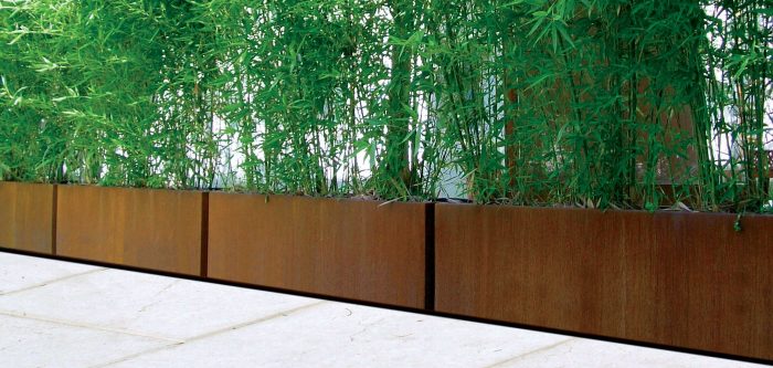 BAMBU-1