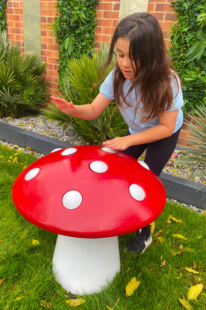 toadstool2